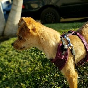 Meet your Posher, Edson